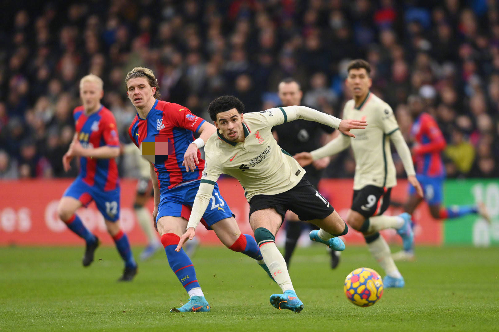 的文化元素 的文化元素