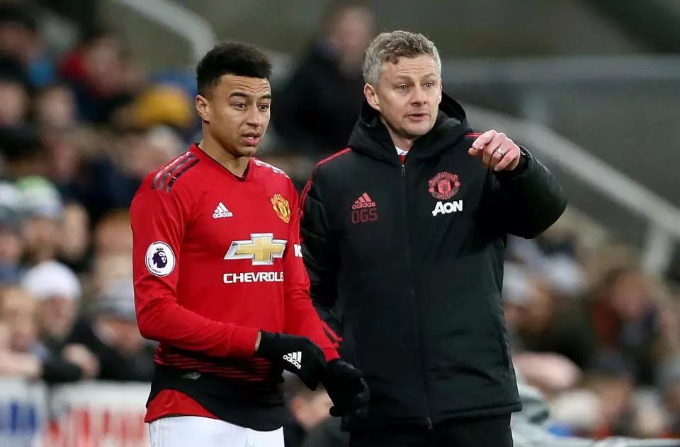 她们的表现 她们的表现